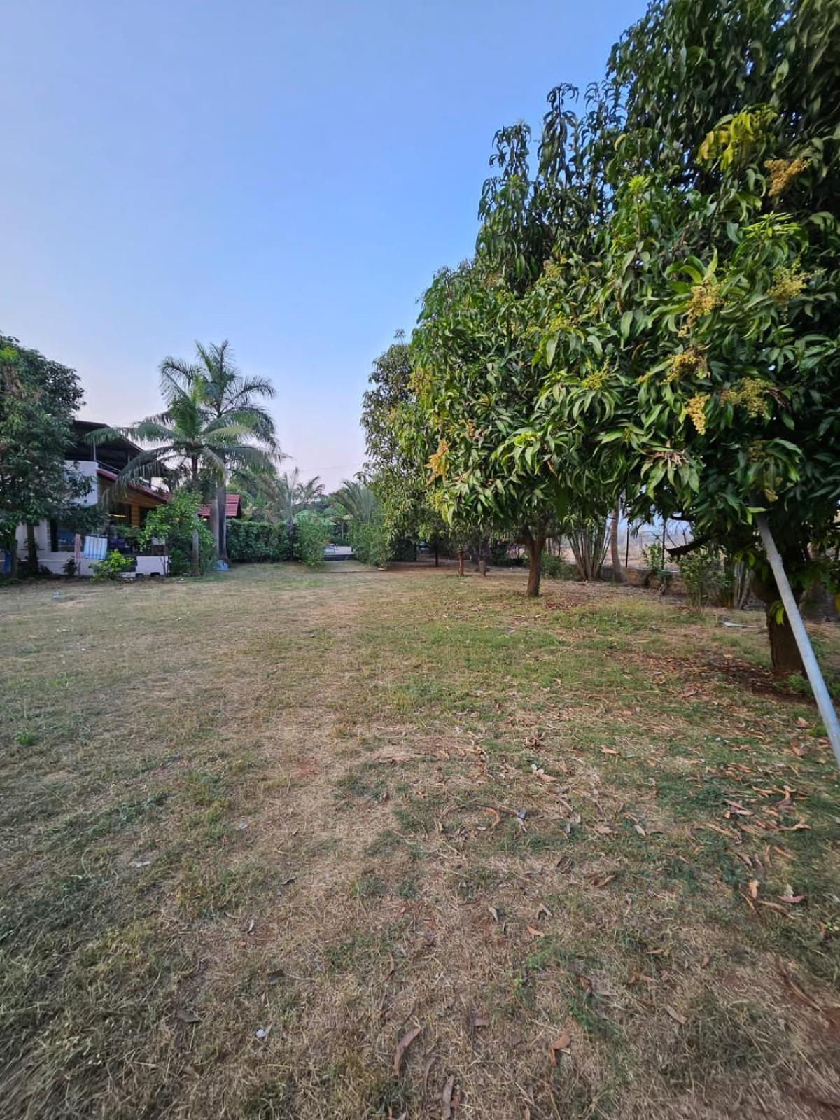 Patil'S Greenwoods Farmhouse นาวีมุมไบ ภายนอก รูปภาพ